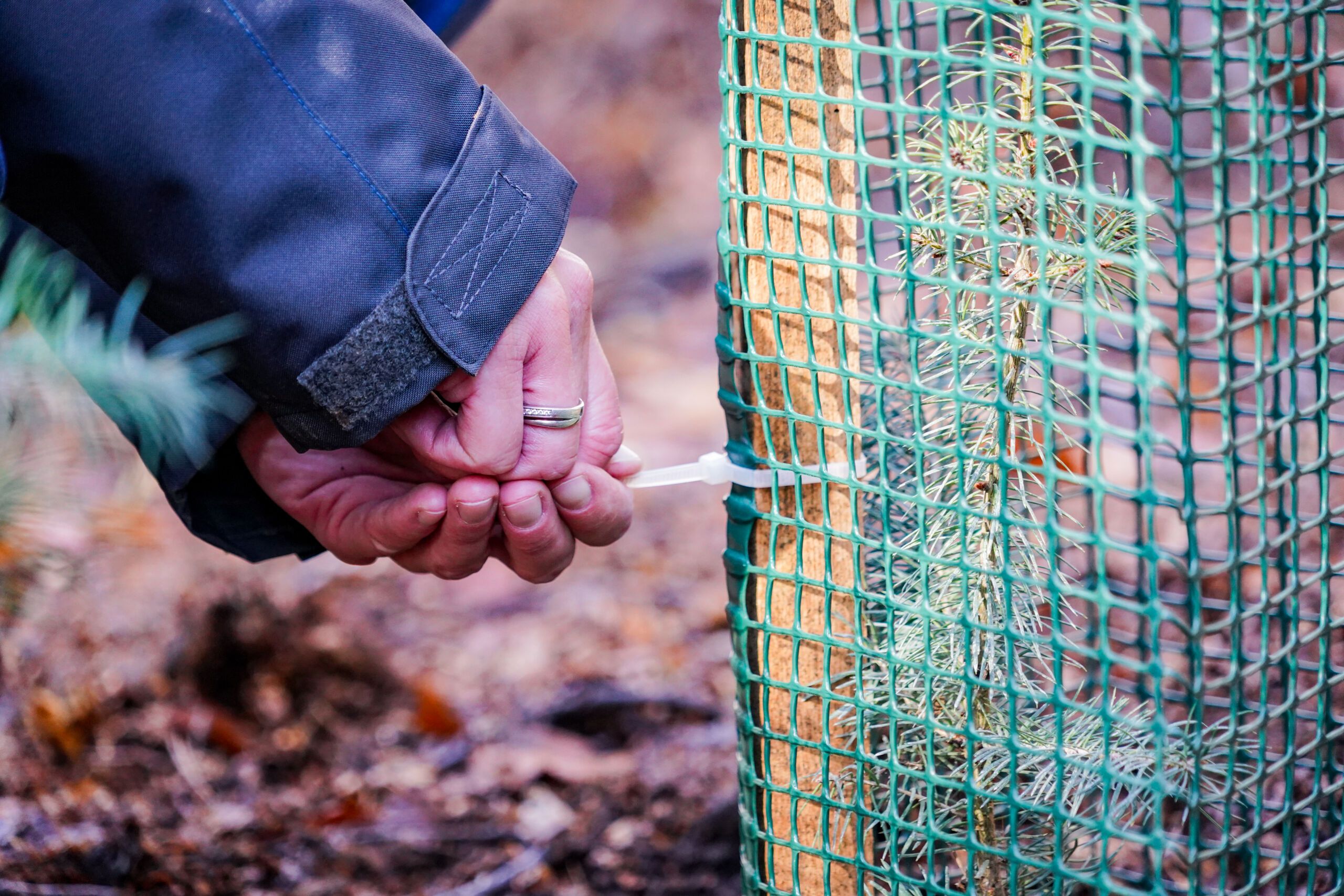 Notre engagement pour l’environnement