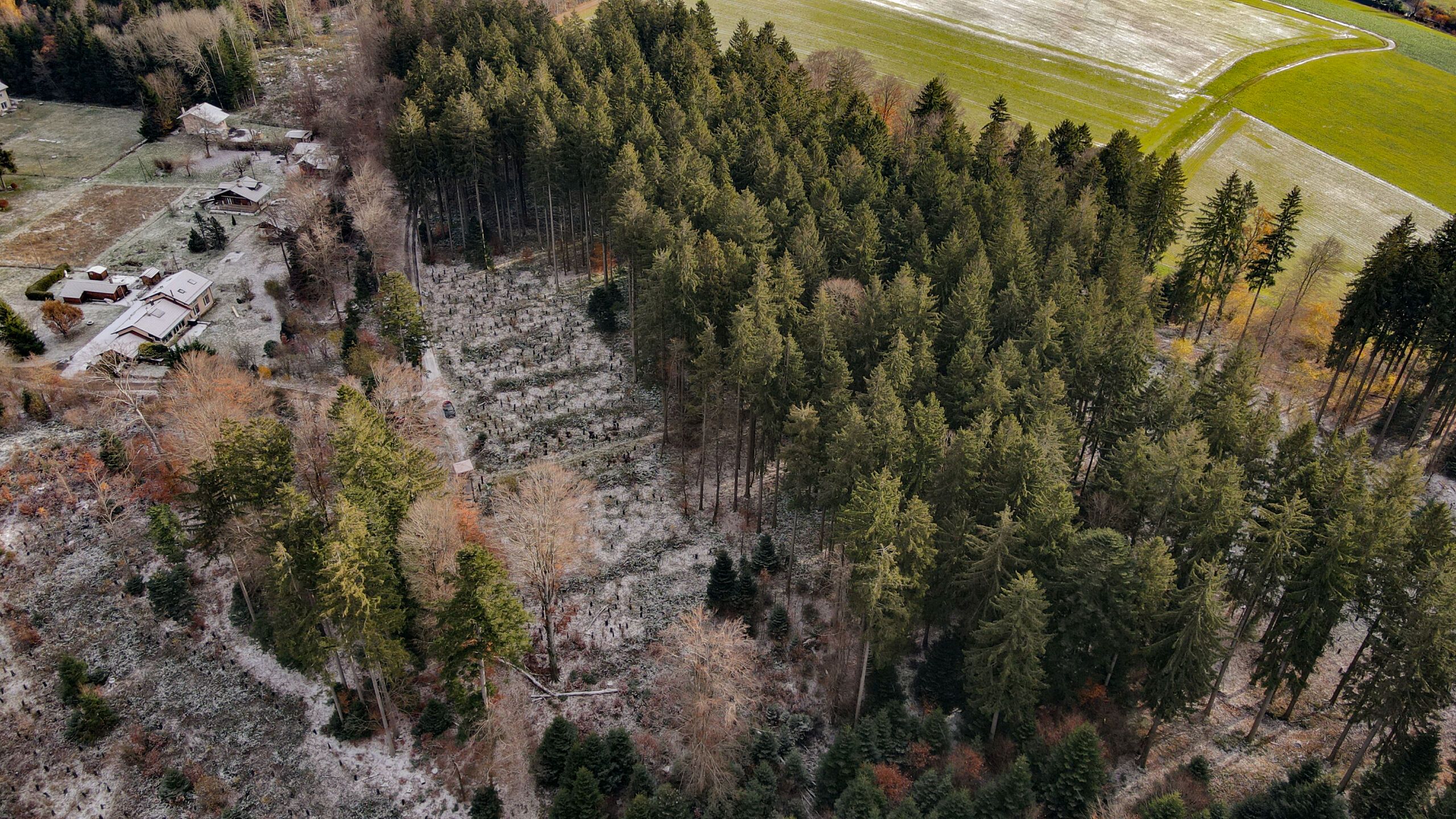 Unser Engagement für die Umwelt geht weiter…